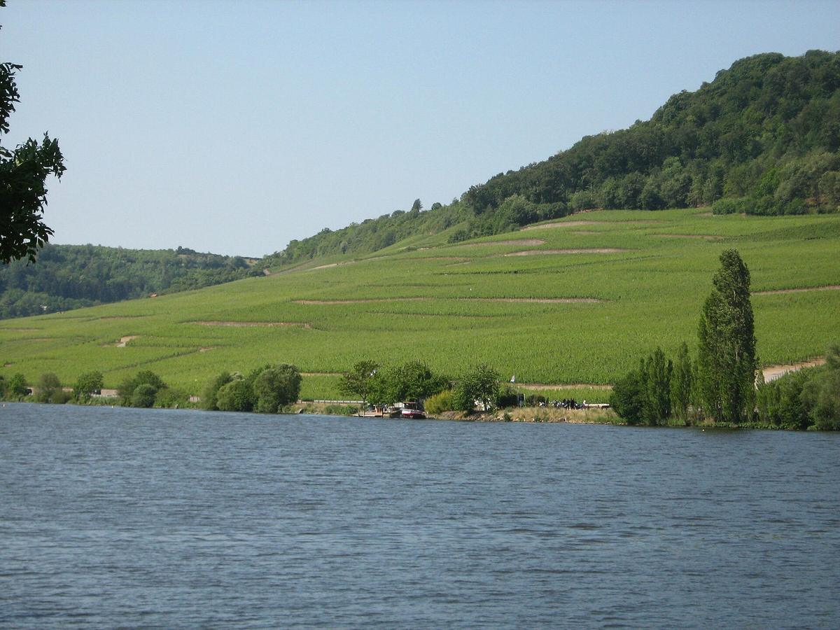 Moselle river Luxembourg vineyards